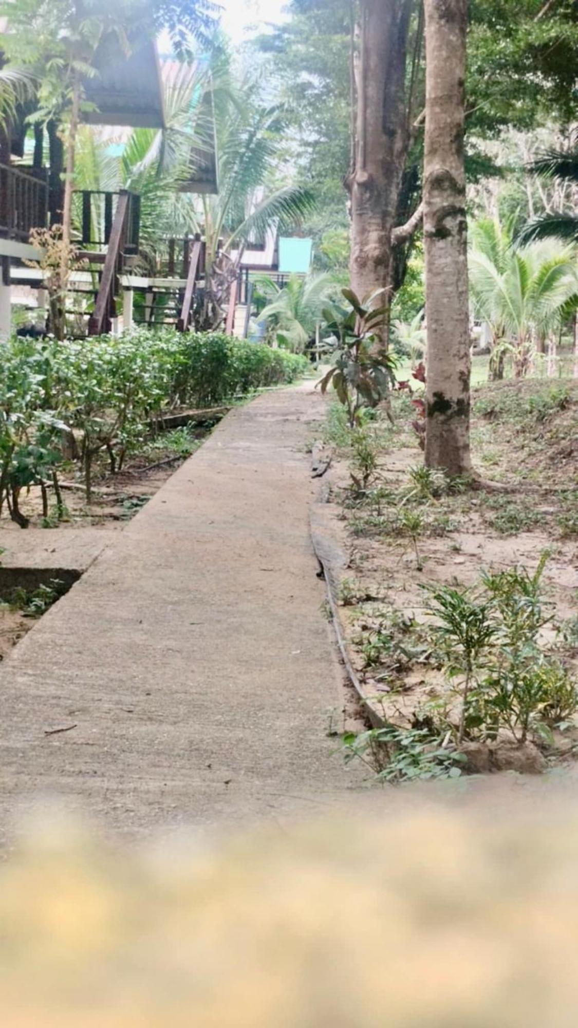 Rasta House,,Koh Phayam Hotel Buitenkant foto